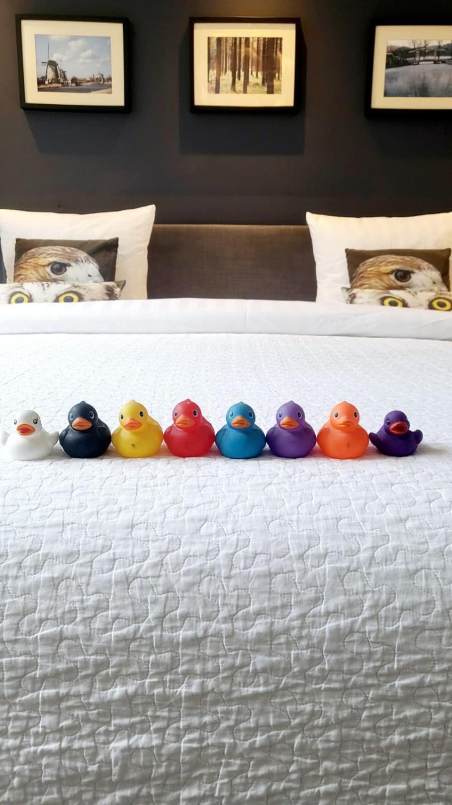 Velvetamsterdam Accommodatie bij particulieren Amsterdam